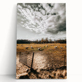 Farmhouse Wall Art - Pastoral Sheep in Field with Rustic Country Charm