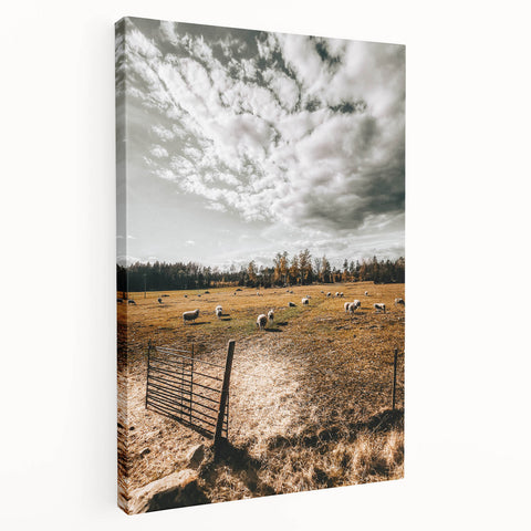 Farmhouse Wall Art - Pastoral Sheep in Field with Rustic Country Charm