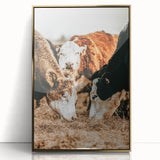 Farmhouse Wall Art - Rustic Cows in Close-Up with Country Farm Charm