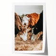 Farmhouse Wall Art - Rustic Cows in Close-Up with Country Farm Charm