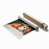 Farmhouse Wall Art - Rustic Cows in Close-Up with Country Farm Charm