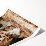 Farmhouse Wall Art - Rustic Cows in Close-Up with Country Farm Charm