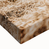 Farmhouse Wall Art - Rustic Cows in Close-Up with Country Farm Charm