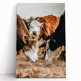 Farmhouse Wall Art - Rustic Cows in Close-Up with Country Farm Charm