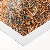 Farmhouse Wall Art - Rustic Close-Up of Hay Bales with Country Charm