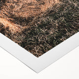 Farmhouse Wall Art - Serene Hay Bale in Field with Rustic Country Charm
