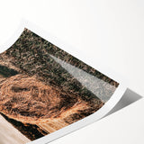 Farmhouse Wall Art - Serene Hay Bale in Field with Rustic Country Charm