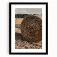 Farmhouse Wall Art - Rustic Hay Bale in Golden Field with Country Charm