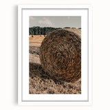 Farmhouse Wall Art - Rustic Hay Bale in Golden Field with Country Charm