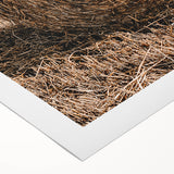 Farmhouse Wall Art - Rustic Hay Bale in Golden Field with Country Charm