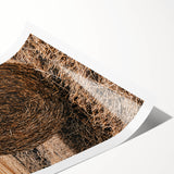 Farmhouse Wall Art - Rustic Hay Bale in Golden Field with Country Charm