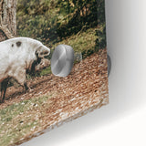 Farmhouse Wall Art - Rustic Pig in Wooded Path with Country Farm Charm