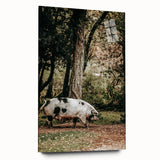 Farmhouse Wall Art - Rustic Pig in Wooded Path with Country Farm Charm