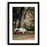 Farmhouse Wall Art - Rustic Pig in Wooded Path with Country Farm Charm