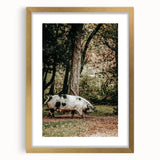 Farmhouse Wall Art - Rustic Pig in Wooded Path with Country Farm Charm
