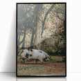 Farmhouse Wall Art - Rustic Pig in Wooded Path with Country Farm Charm