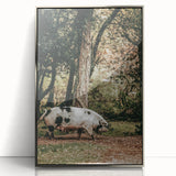 Farmhouse Wall Art - Rustic Pig in Wooded Path with Country Farm Charm