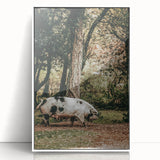 Farmhouse Wall Art - Rustic Pig in Wooded Path with Country Farm Charm