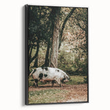 Farmhouse Wall Art - Rustic Pig in Wooded Path with Country Farm Charm