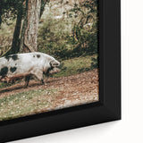 Farmhouse Wall Art - Rustic Pig in Wooded Path with Country Farm Charm