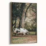 Farmhouse Wall Art - Rustic Pig in Wooded Path with Country Farm Charm