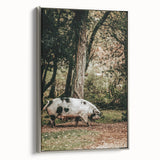 Farmhouse Wall Art - Rustic Pig in Wooded Path with Country Farm Charm