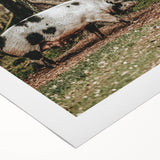 Farmhouse Wall Art - Rustic Pig in Wooded Path with Country Farm Charm