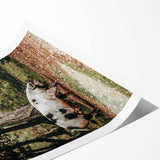 Farmhouse Wall Art - Rustic Pig in Wooded Path with Country Farm Charm