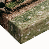 Farmhouse Wall Art - Rustic Pig in Wooded Path with Country Farm Charm