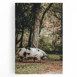 Farmhouse Wall Art - Rustic Pig in Wooded Path with Country Farm Charm