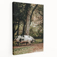 Farmhouse Wall Art - Rustic Pig in Wooded Path with Country Farm Charm