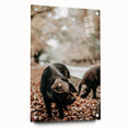 Farmhouse Wall Art - Black Pig in Rustic Setting with Country Charm