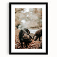 Farmhouse Wall Art - Black Pig in Rustic Setting with Country Charm