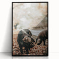Farmhouse Wall Art - Black Pig in Rustic Setting with Country Charm