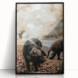 Farmhouse Wall Art - Black Pig in Rustic Setting with Country Charm