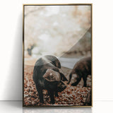 Farmhouse Wall Art - Black Pig in Rustic Setting with Country Charm