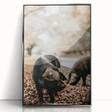Farmhouse Wall Art - Black Pig in Rustic Setting with Country Charm