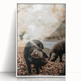 Farmhouse Wall Art - Black Pig in Rustic Setting with Country Charm