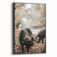 Farmhouse Wall Art - Black Pig in Rustic Setting with Country Charm