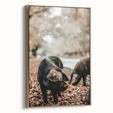 Farmhouse Wall Art - Black Pig in Rustic Setting with Country Charm