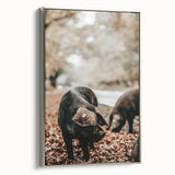 Farmhouse Wall Art - Black Pig in Rustic Setting with Country Charm