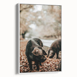 Farmhouse Wall Art - Black Pig in Rustic Setting with Country Charm