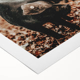 Farmhouse Wall Art - Black Pig in Rustic Setting with Country Charm