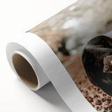 Farmhouse Wall Art - Black Pig in Rustic Setting with Country Charm