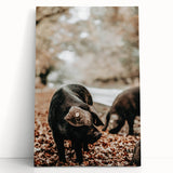 Farmhouse Wall Art - Black Pig in Rustic Setting with Country Charm