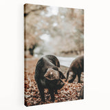 Farmhouse Wall Art - Black Pig in Rustic Setting with Country Charm