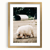 Farmhouse Wall Art - Rustic Pig on Farm with Vintage Country Charm