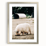 Farmhouse Wall Art - Rustic Pig on Farm with Vintage Country Charm
