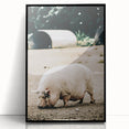 Farmhouse Wall Art - Rustic Pig on Farm with Vintage Country Charm