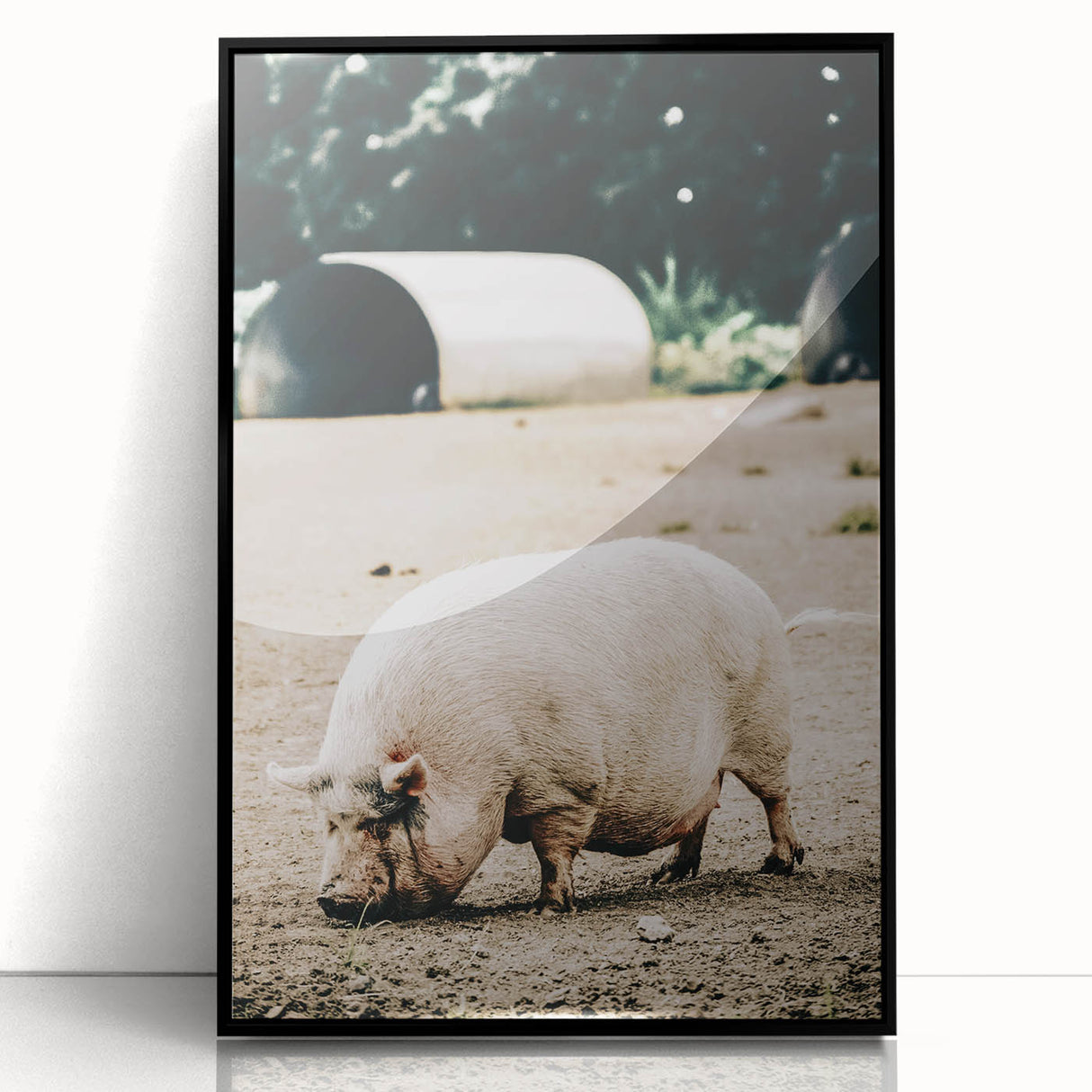 Farmhouse Wall Art - Rustic Pig on Farm with Vintage Country Charm
